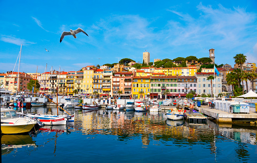 Cannes: A view of the Vieux Port, the Old Port of Cannes, and Le Suquet district, the old town, in the background