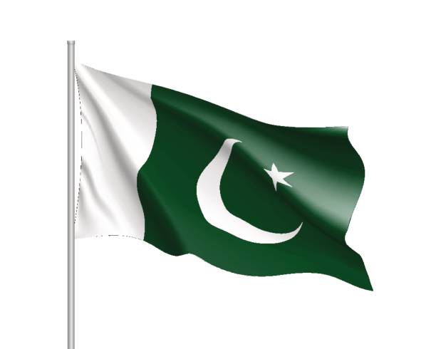 ilustrações de stock, clip art, desenhos animados e ícones de pakistan flag, vector flat style - bandeira do paquistão