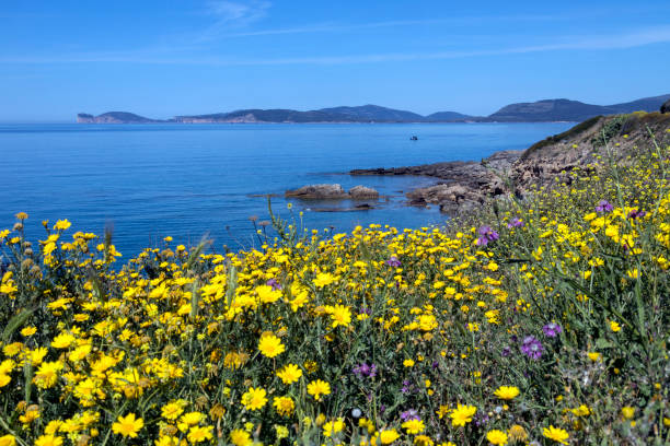 istock Coast of Sardinia - Italy 694145704