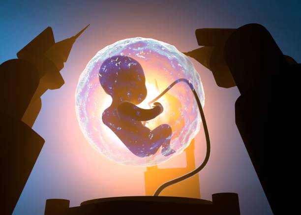 fetale inkubation sci-fi-experiment - cordoning stock-fotos und bilder