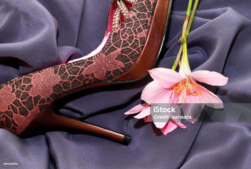 Wedding shoes Violet shoes and silk dress Adult Stock Photo