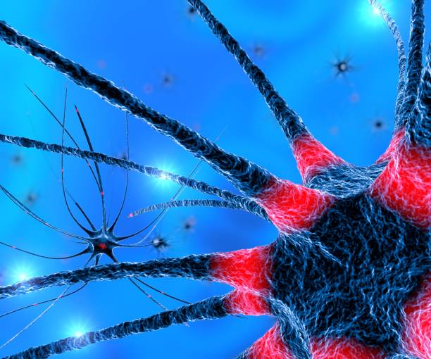 istock Brain, neurons, synapses, neural network circuit of neurons, degenerative diseases, Parkinson, 3d rendering 694146082