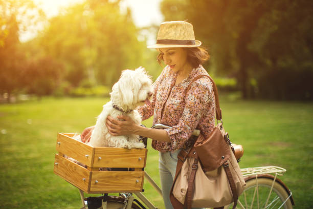 istock Walking in the park with her Maltese dog 694149332