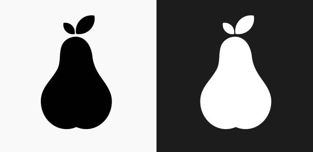 ilustrações de stock, clip art, desenhos animados e ícones de pear icon on black and white vector backgrounds - pera