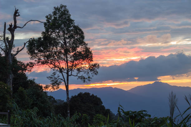 istock sunset sky from Phanoen Thung Camp,Kaeng Krachan National Park 694163458