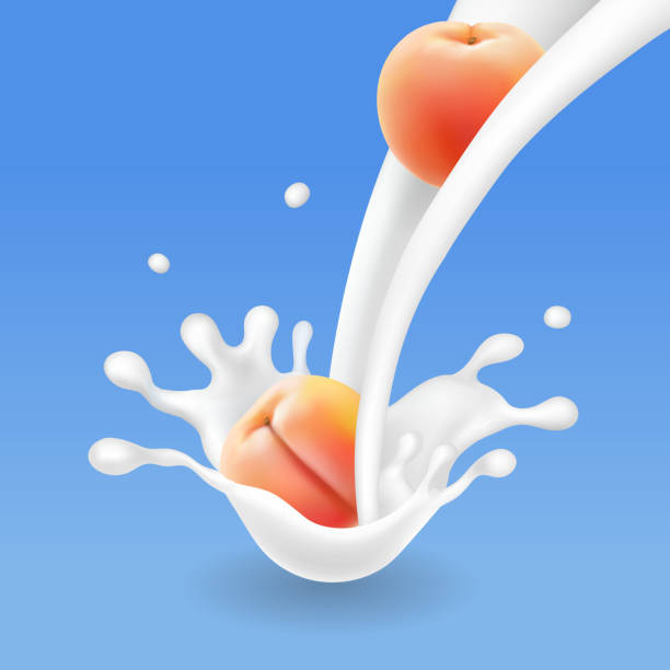 owoce brzoskwiniowe i mleko lub jogurt splash ilustracja wektorowa - nectarine peach backgrounds white stock illustrations