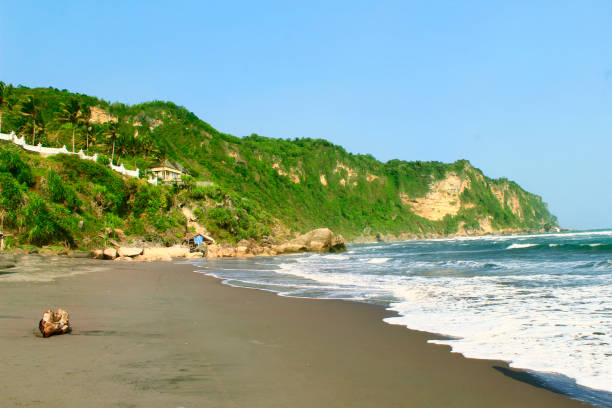 istock parangtritis beach, jogjakarta, indonesia 694168230