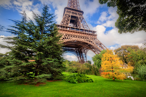 Eiffel Tower from Champ de Mars park in Paris, France. Green grass, trees, sunny summer day