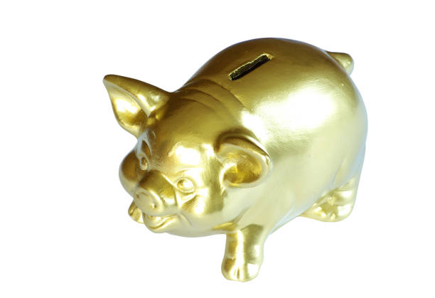 istock golden piggy bank 694180952