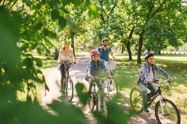 Family riding bicycle Family riding bicycle in the public park together. Cycling and enjoying the sunny day bicycle stock pictures, royalty-free photos & images