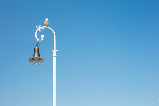 Detail of street lamp at promenade and a seagull on it looking around.