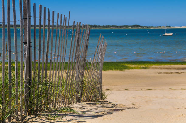 istock Millway Beach Fenceline 694187636