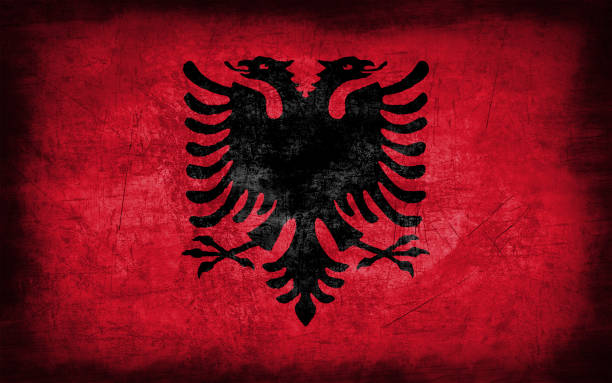 istock Albania flag with grunge metal texture 694205008