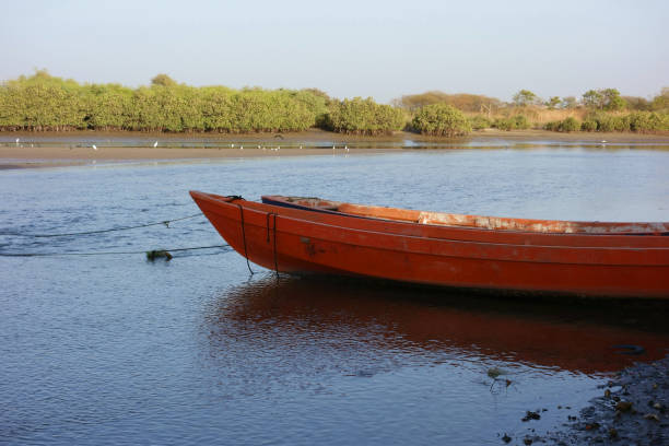 Piroge in front of mangroves, Joal-Fadiouth; Senegal Piroge in front of mangroves, Joal-Fadiouth; Senegal casamance photos stock pictures, royalty-free photos & images