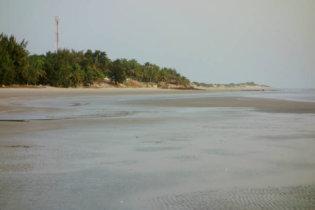 Paradise beach in Cap Skirring, Casamance, Senegal Paradise beach in Cap Skirring, Casamance, Senegal casamance photos stock pictures, royalty-free photos & images