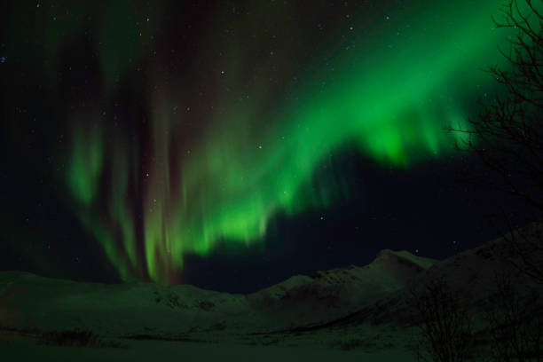 istock Northern Lights near Tromso, Norway 694227366