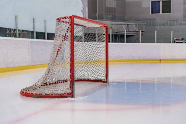 istock Hockey gates in the stadium before the game 694234250