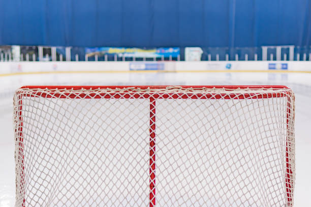 istock Hockey gates in the stadium before the game 694234252