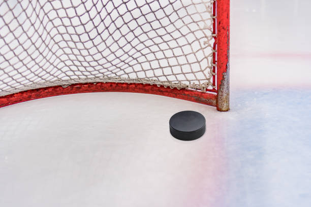 istock Hockey gates in the stadium before the game 694234274