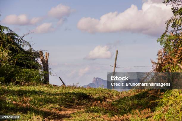 Maringá Mg Stock Photo - Download Image Now - Brazil, Clear Sky, Composition