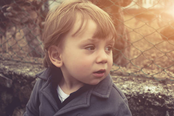 istock Portrait of a happy 2 year boy . Toned Image. 694243758