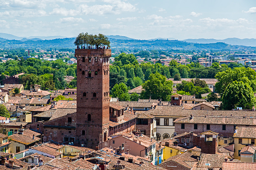 Lucca,Tuscany,Italy-16 May 2017:Lucca overhead view, from the clock Tower. One of the symbols of the city of Lucca is Guinigi Tower, one of the few remaining of 250 that protected the city. 45 meters high, stands out among the buildings of the old town to the trees that grow on its Summit.