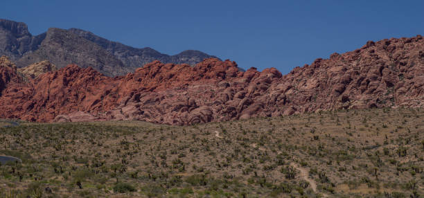 istock Red Rock Canyon in Nevada 694253942