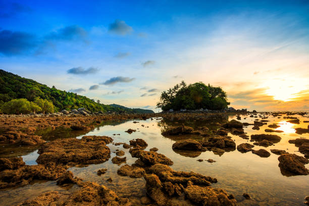 istock Nai Yang Beach, Phuket, Thailand 694259730