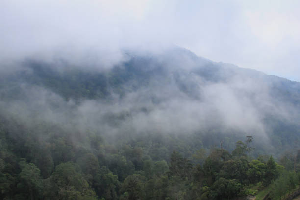 istock Landscape between the way to Genting highland 694262308