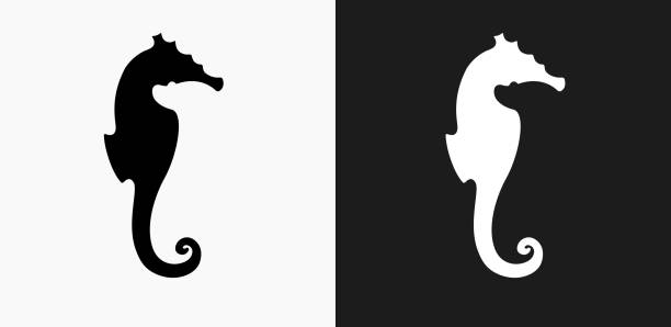 Seahorse Icon on Black and White Vector Backgrounds Seahorse Icon on Black and White Vector Backgrounds. This vector illustration includes two variations of the icon one in black on a light background on the left and another version in white on a dark background positioned on the right. The vector icon is simple yet elegant and can be used in a variety of ways including website or mobile application icon. This royalty free image is 100% vector based and all design elements can be scaled to any size. fish clip art black and white stock illustrations