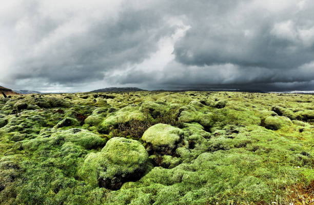 bemooste grüne landschaft des südlichen island - otherworldy stock-fotos und bilder