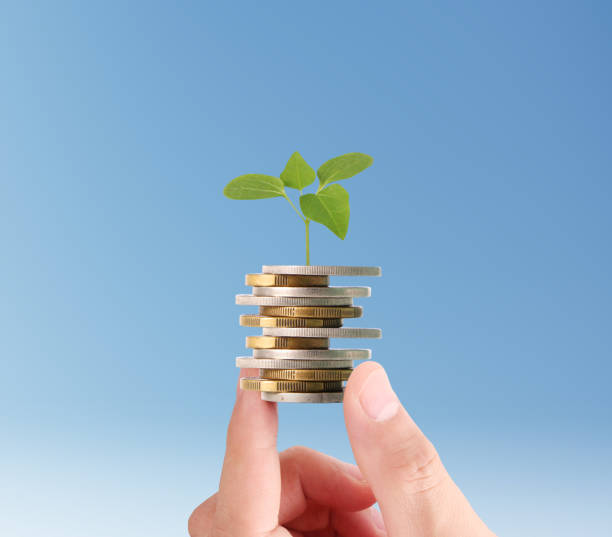 istock Hand human hand putting coin to money 694280570