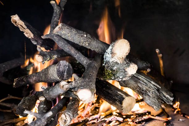 fire inside oven - smoked tongue imagens e fotografias de stock