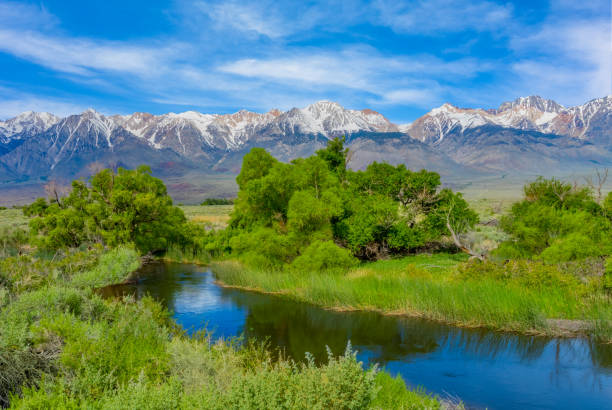 istock Spring in the Owens River Valley with California Sierra Nevada range, CA(P) 694292024
