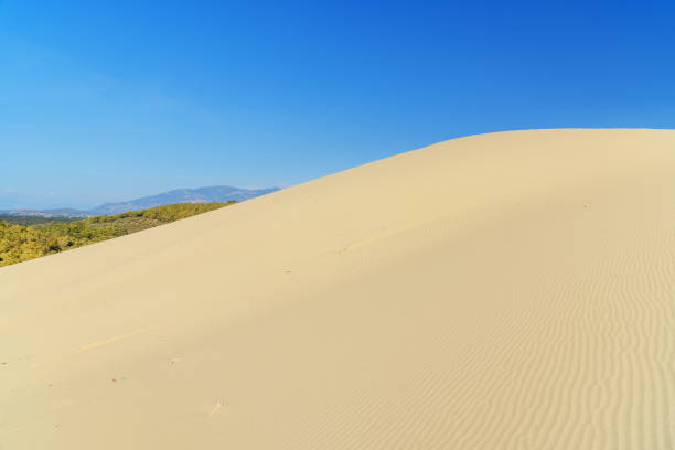 istock Sand dunes on Patara beach. Turkey 694300348