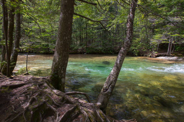 istock River at The Basin in New Hampshire 694304420