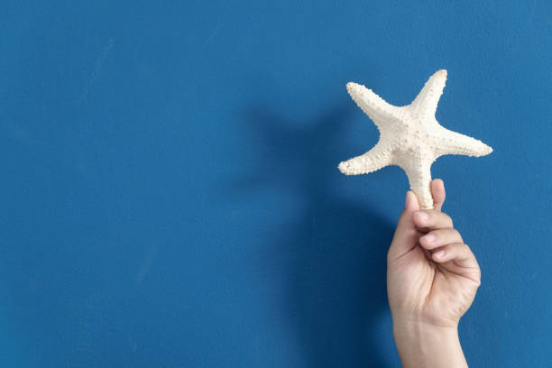 istock hand holding starfish on blue wall background 694320352