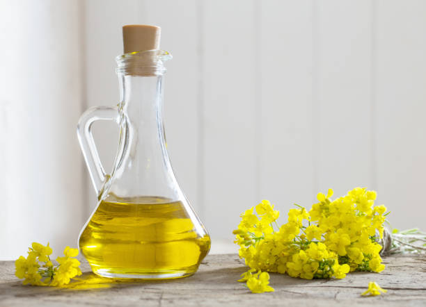 istock rapeseed oil (canola) and rape flowers on wooden table 694322828