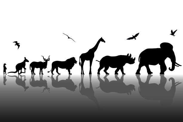27,382 Animal Evolution Illustrations & Clip Art - iStock | Evolve, Darwin,  Animal growth