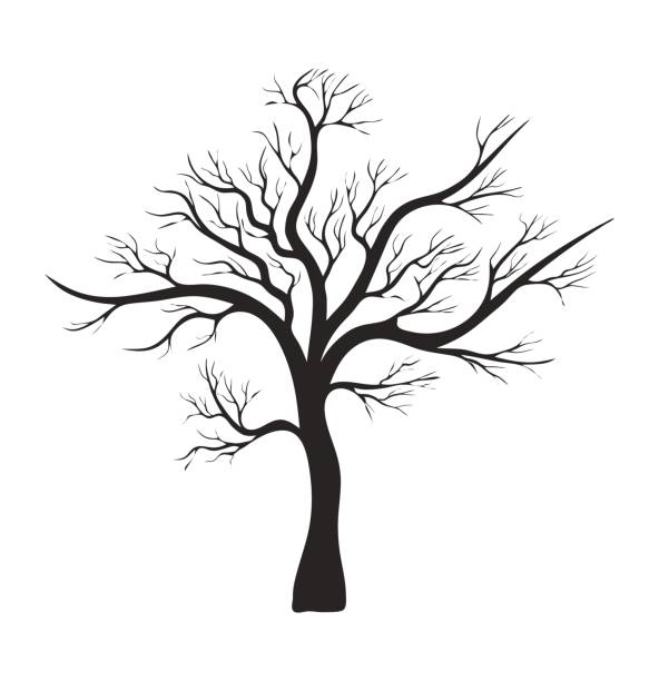 ilustraciones, imágenes clip art, dibujos animados e iconos de stock de desnudo árbol silueta vector símbolo icono diseño. - bare tree nature backgrounds tree trunk branch