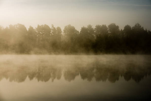istock reflections in the lake water in the morning mist 694337028