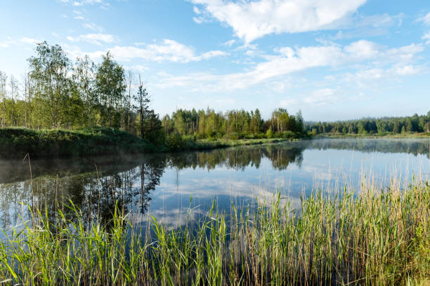 istock reflections in the lake water in the morning mist 694337294