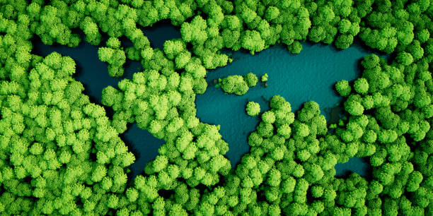 lagos de la selva en la forma de los continentes del mundo. concepto de desarrollo sostenible medio ambiente. ilustración 3d. - landscape green tree leaf fotografías e imágenes de stock