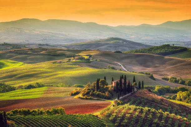 tuscany landscape at sunrise. tuscan farm house, vineyard, hills. - tuscany italy sunrise rural scene imagens e fotografias de stock