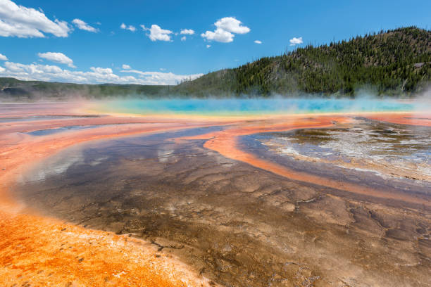 istock World Famous Grand Prismatic Spring 694344458