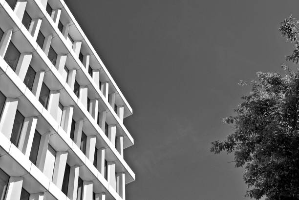 istock Modern building. Modern office building with facade of glass. Black and white 694354342