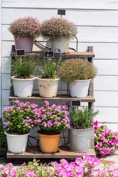 istock Beautiful street decorated with flowers 694354512