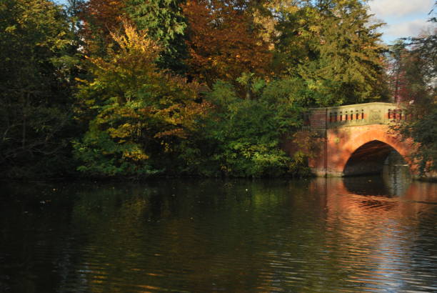 istock Autumn in Canon Hill Park 694361620