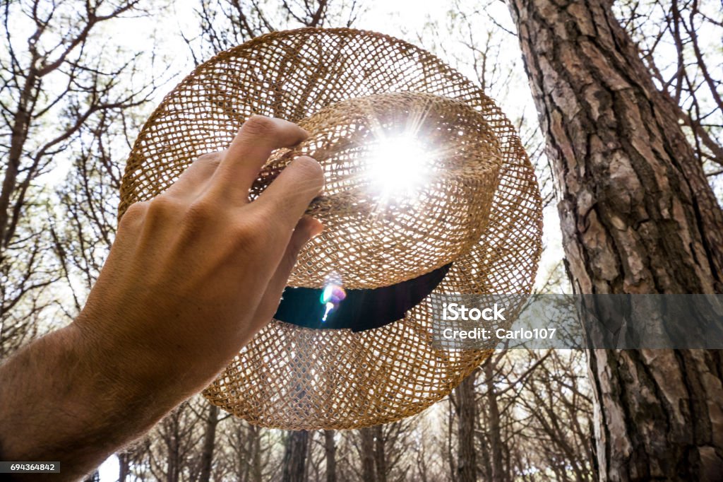 Woman holding a straw hat Straw hat in a pine forest Beauty Stock Photo