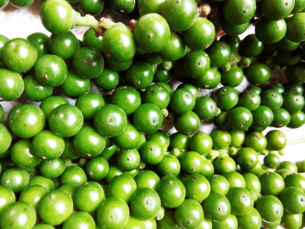 istock Green seasonal pepper 694370806